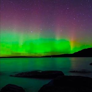 Meet your Posher, Joe